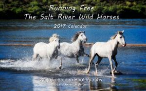 2017 Running Free - The Salt River Wild Horses Calendar 